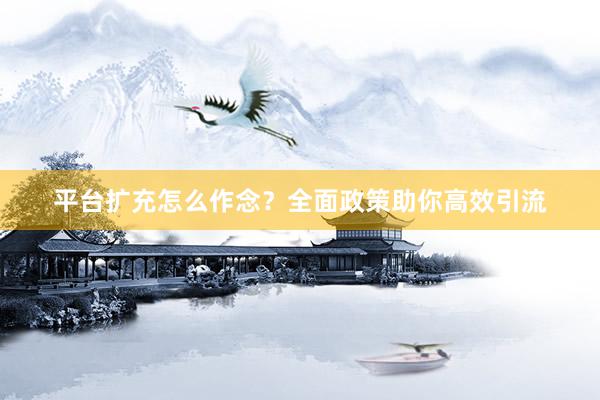 平台扩充怎么作念？全面政策助你高效引流