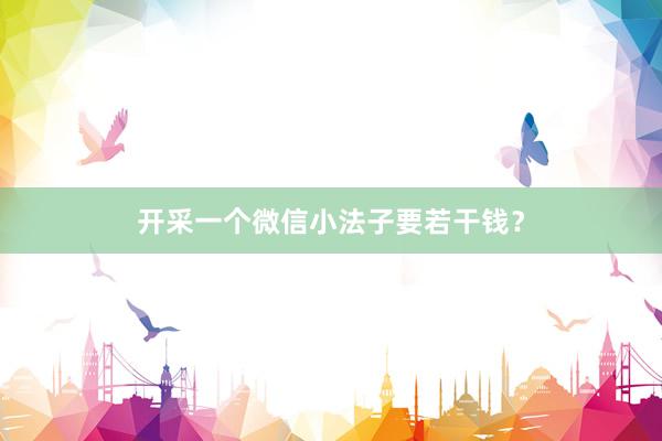 开采一个微信小法子要若干钱？