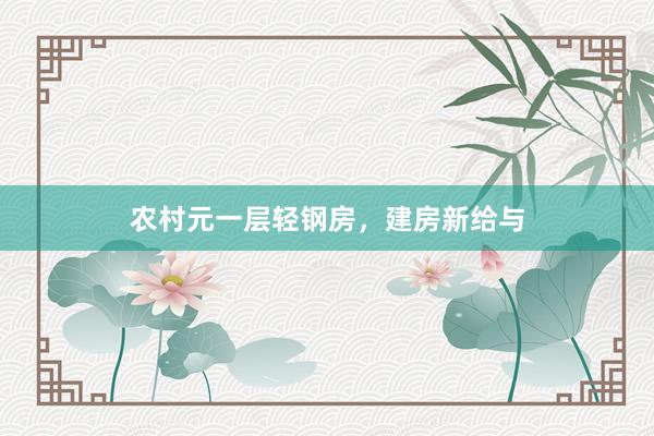农村元一层轻钢房，建房新给与