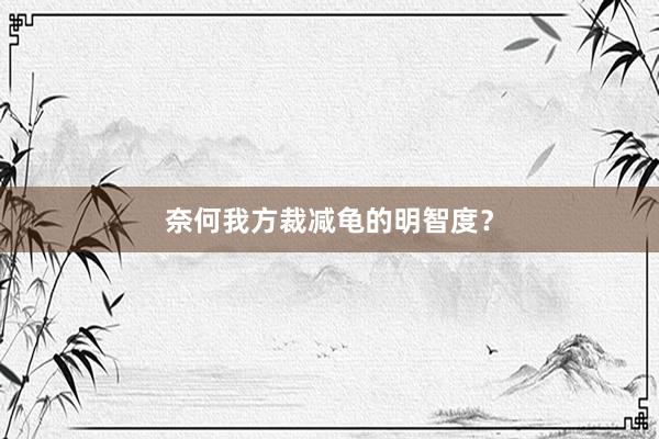 奈何我方裁减龟的明智度？