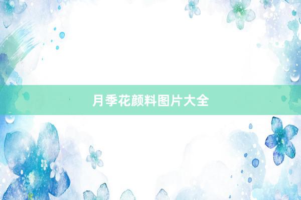 月季花颜料图片大全