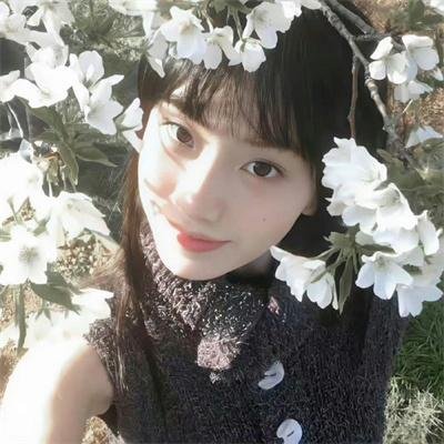 苦茶香
